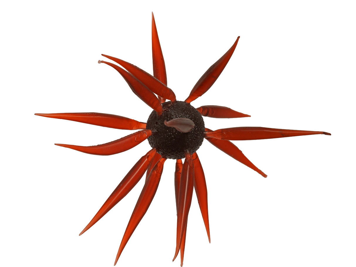 HIDEUP Coike Fish Elastomer L