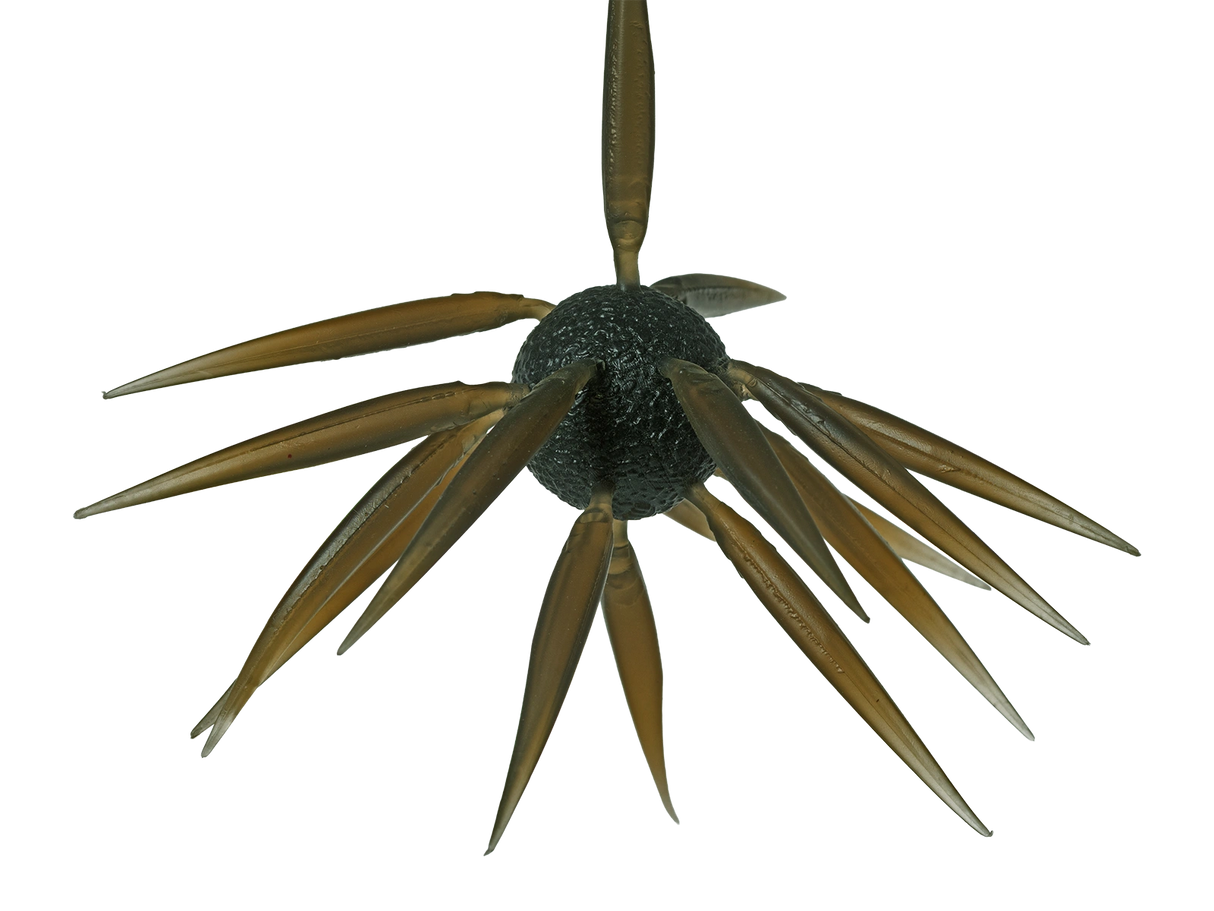 HIDEUP Coike Fish Elastomer L