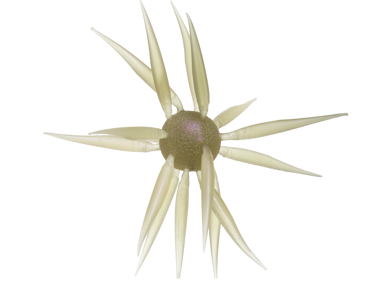 HIDEUP Coike Fish Elastomer L