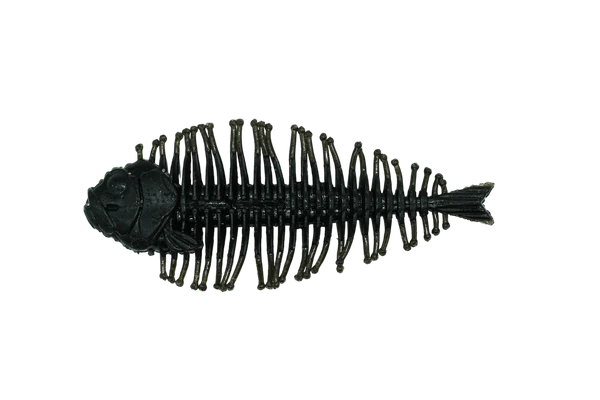 DSTYLE Geelacanth
