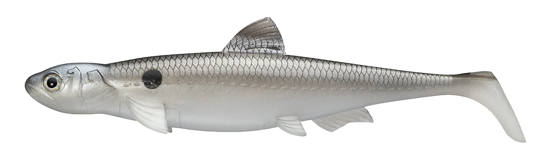 Evergreen Last Ace 140