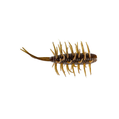 HIDEUP Coike Shrimp Medium