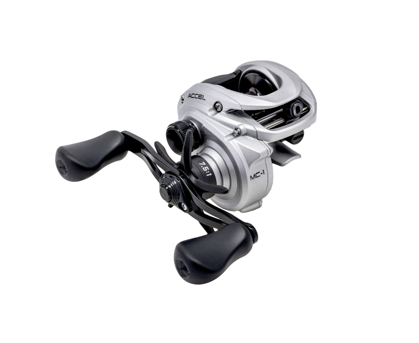 Lew's Accel Casting Reel