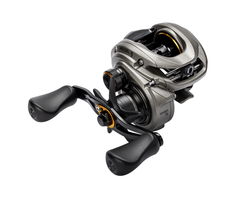 Lew's Accel RX Casting Reel
