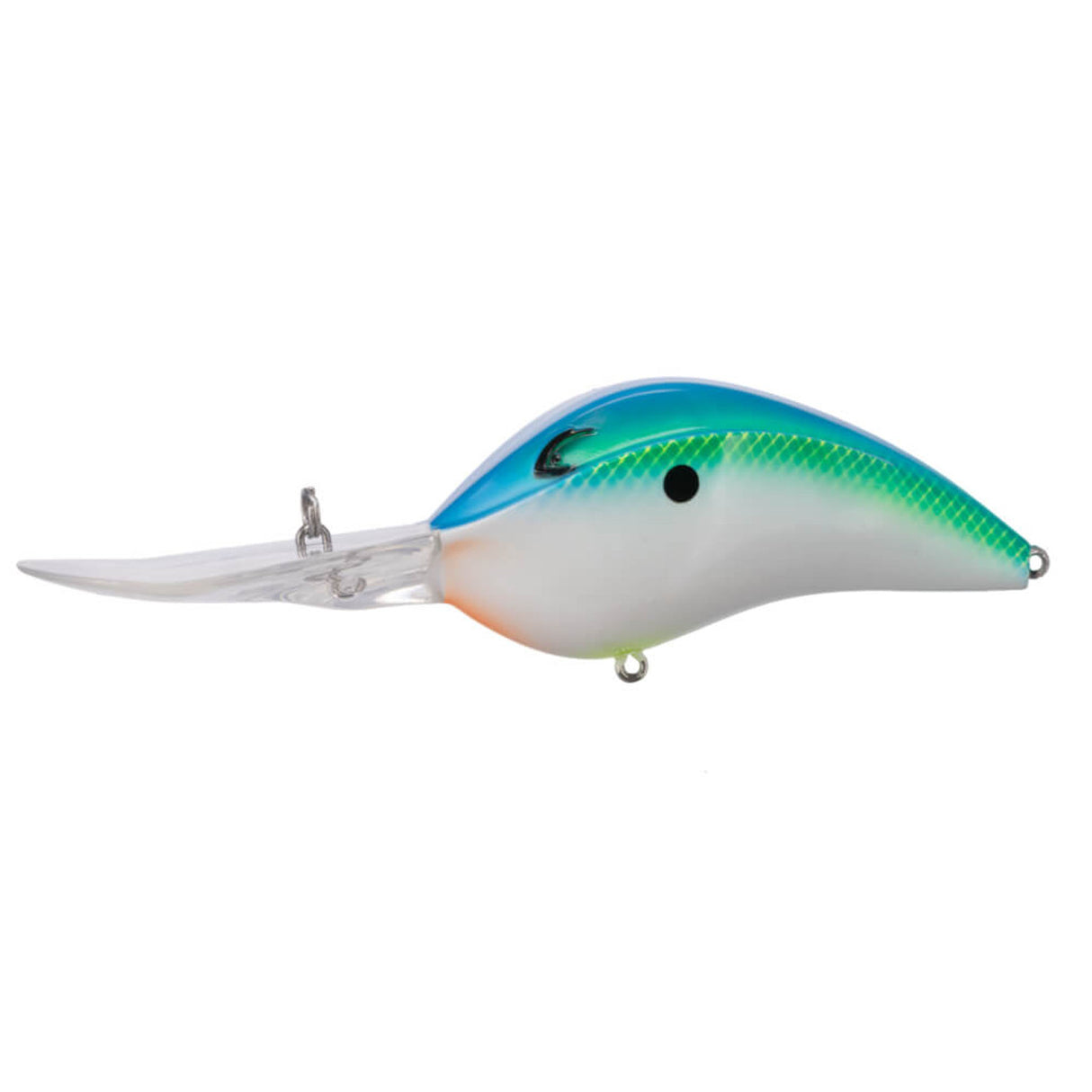 Bill Lewis DR 24 Crankbait