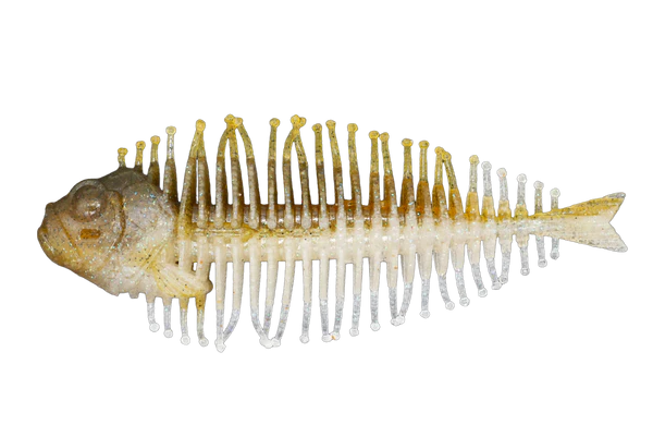 DSTYLE Geelacanth