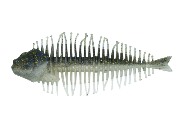 DSTYLE Geelacanth
