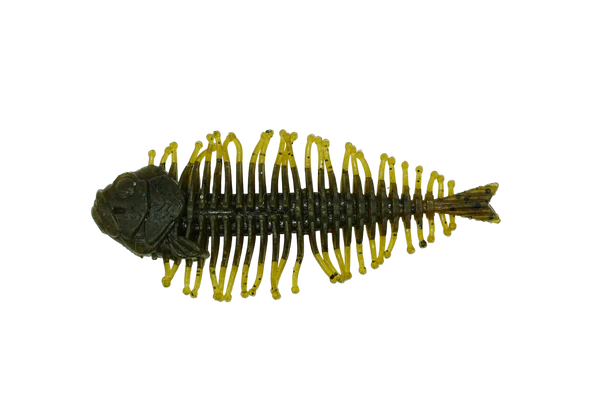 DSTYLE Geelacanth