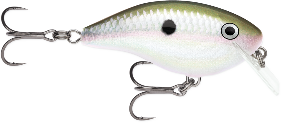Rapala OG Big Rocco 6