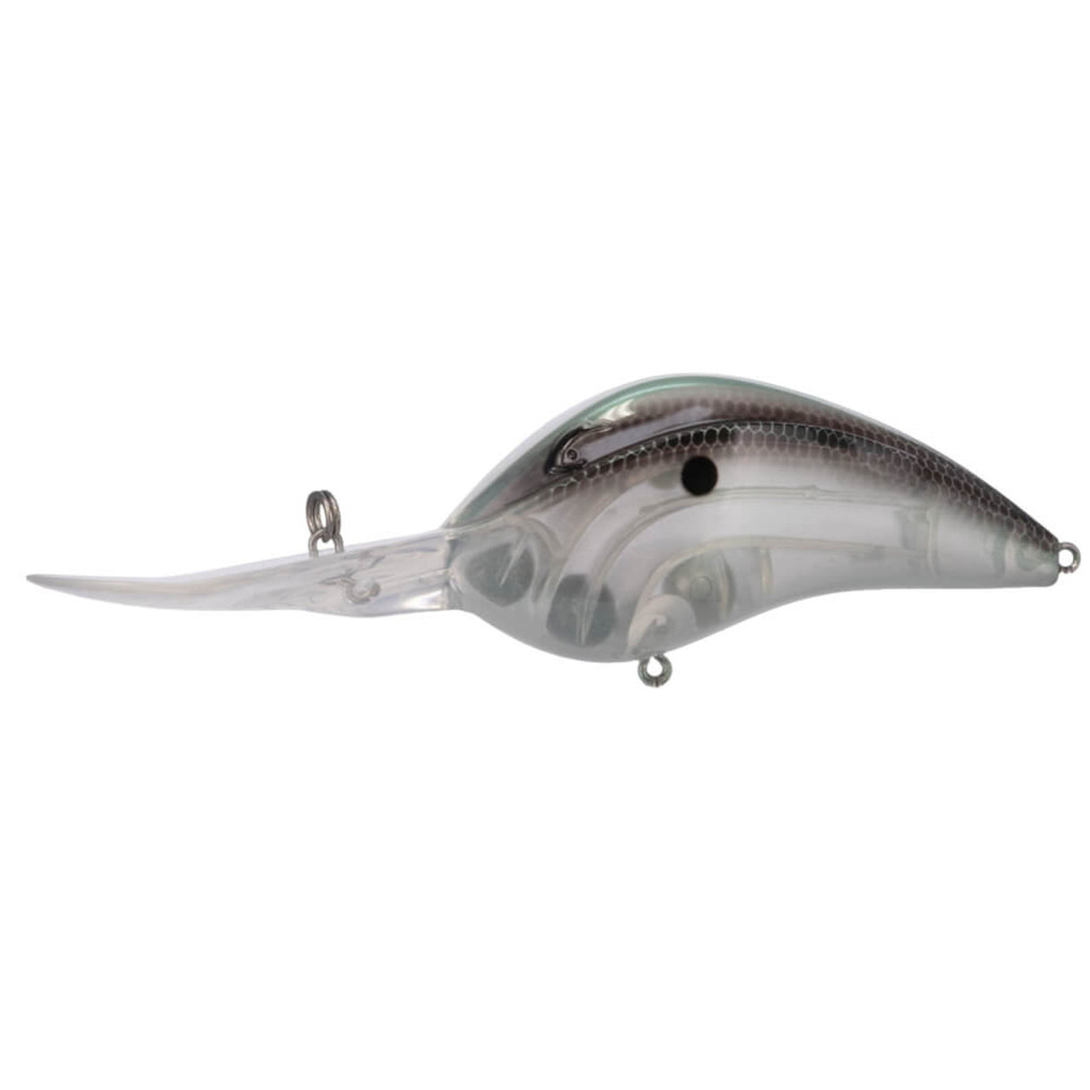 Bill Lewis DR 24 Crankbait