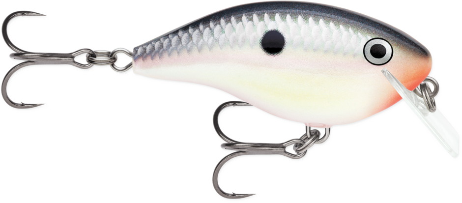 Rapala OG Big Rocco 6