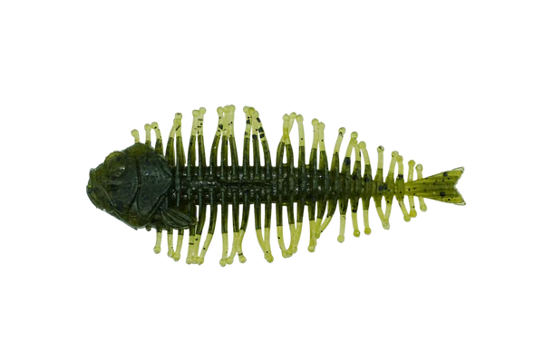 DSTYLE Geelacanth