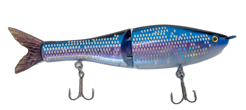 Accent Fishing Lures  FishUSA - America's Tackle Shop