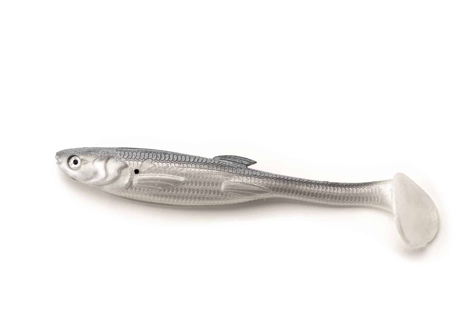 Castaic Jerky J Swim