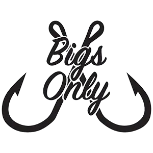 Bigs Only