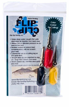Flip Clip