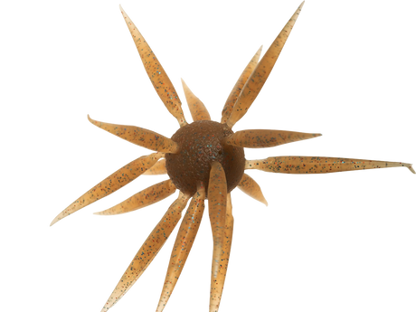 HIDEUP Coike Fish Elastomer L