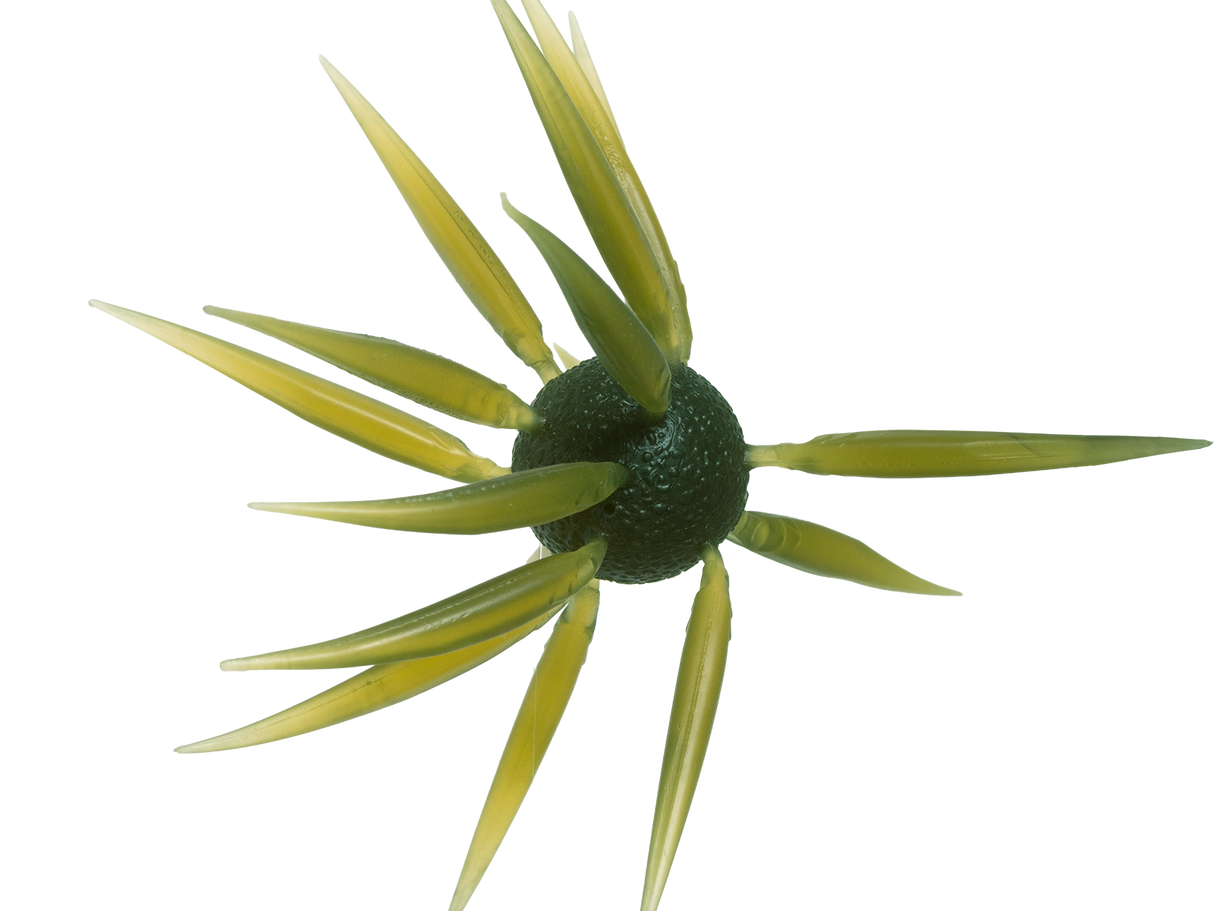 HIDEUP Coike Fish Elastomer L