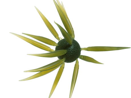 HIDEUP Coike Fish Elastomer L