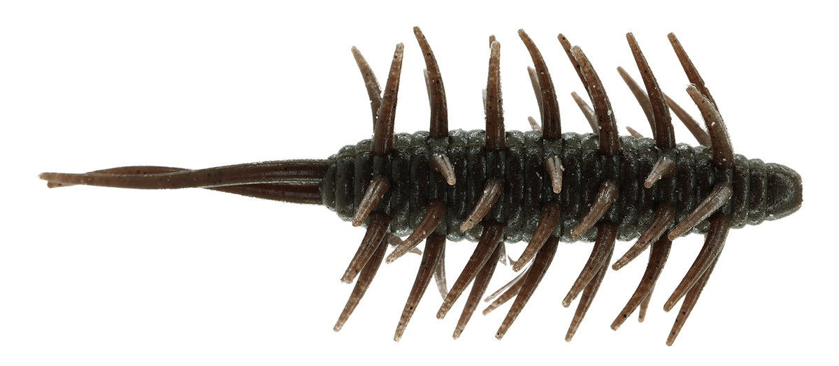 HIDEUP Coike Shrimp Extra Large