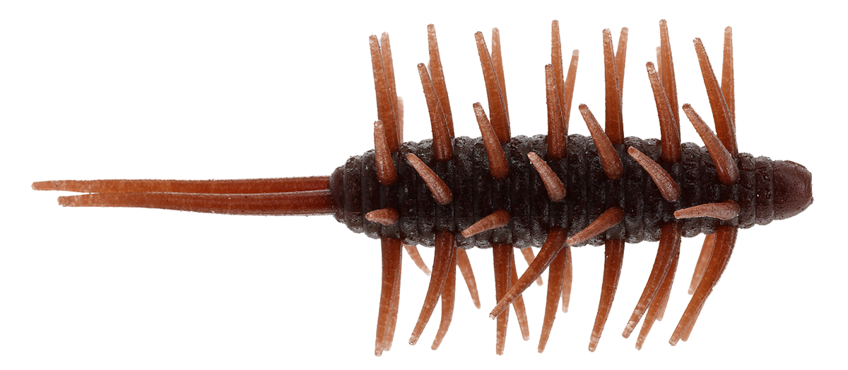 HIDEUP Coike Shrimp Extra Large
