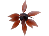 Hideup Coike Fish Gill L