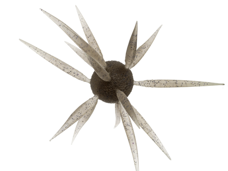 HIDEUP Coike Fish Elastomer L