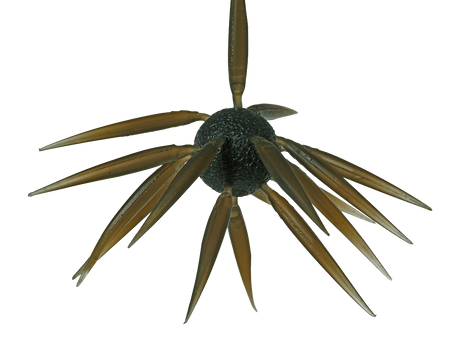 HIDEUP Coike Fish Elastomer L