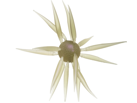 HIDEUP Coike Fish Elastomer L