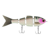 Bucca Brand Lil Baby Bull Shad Swimbait