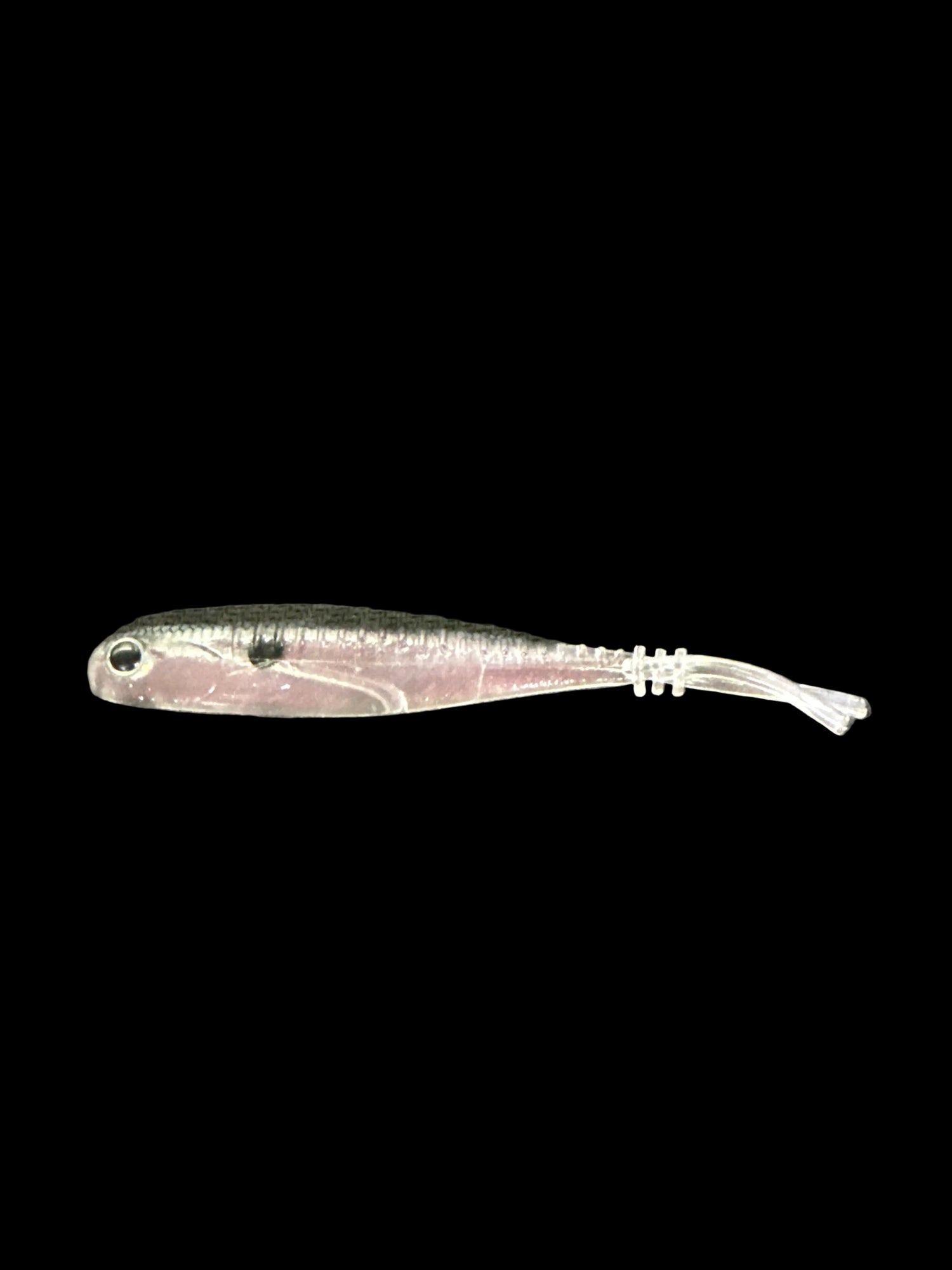 bight light lures maine trout pickerel Big Bite Baits Spotlight Minnow Blue Gizzard / 3.25"
