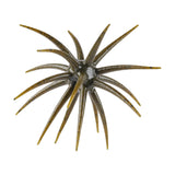 Berkley Maxscent Moeba