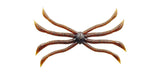 Zappu Fish Magnet Octopus