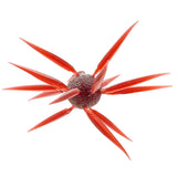 HIDEUP Coike Fish Elastomer M