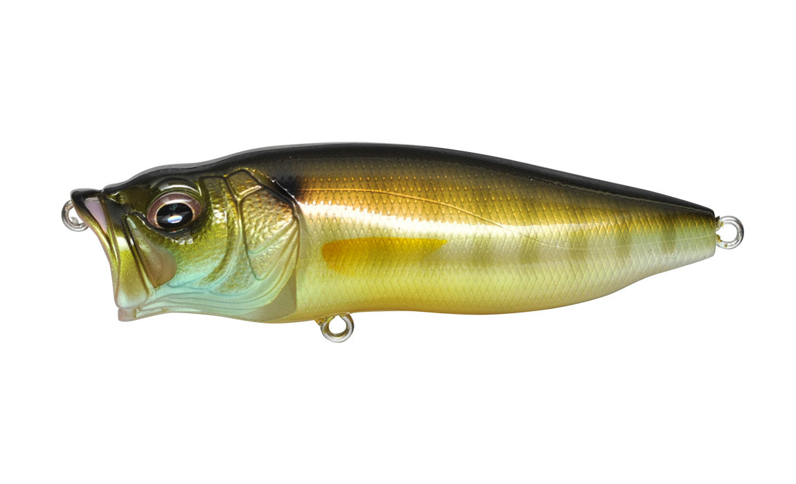 Megabass Popmax Topwater