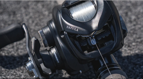 Daiwa Tatula TW 100 Casting Reel