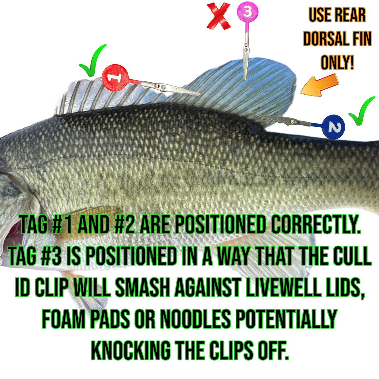 DD26 Fishing Cull Tags