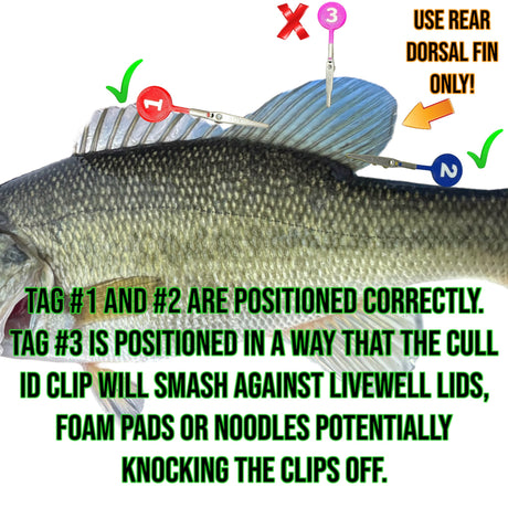 DD26 Fishing Cull Tags - product image 3