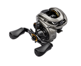 Lew's Accel RX Casting Reel
