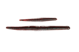 Hag's Tornado Worm