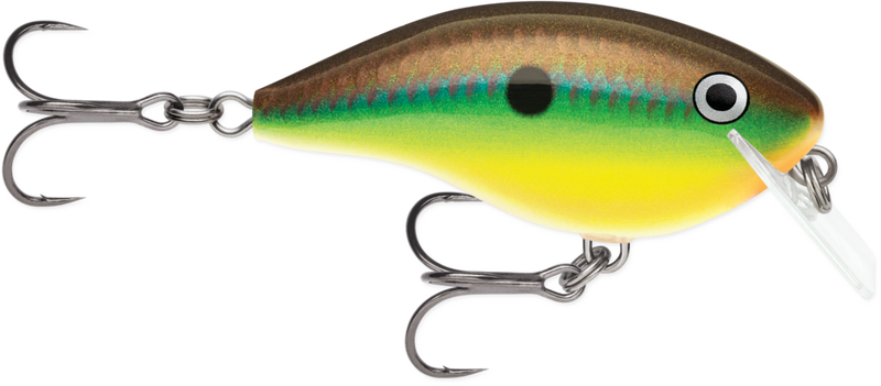 Rapala OG Big Rocco 6