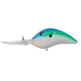 Bill Lewis DR 24 Crankbait