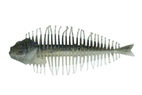 DSTYLE Geelacanth