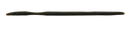 Yamamoto 10" Oki Worm