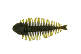 DSTYLE Geelacanth
