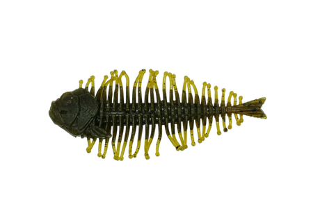 DSTYLE Geelacanth