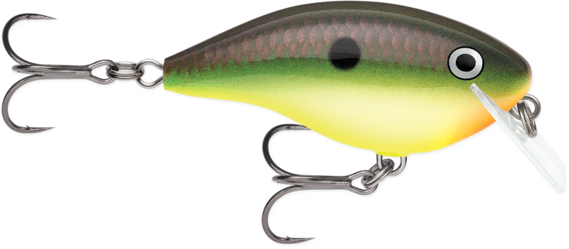 Rapala OG Big Rocco 6