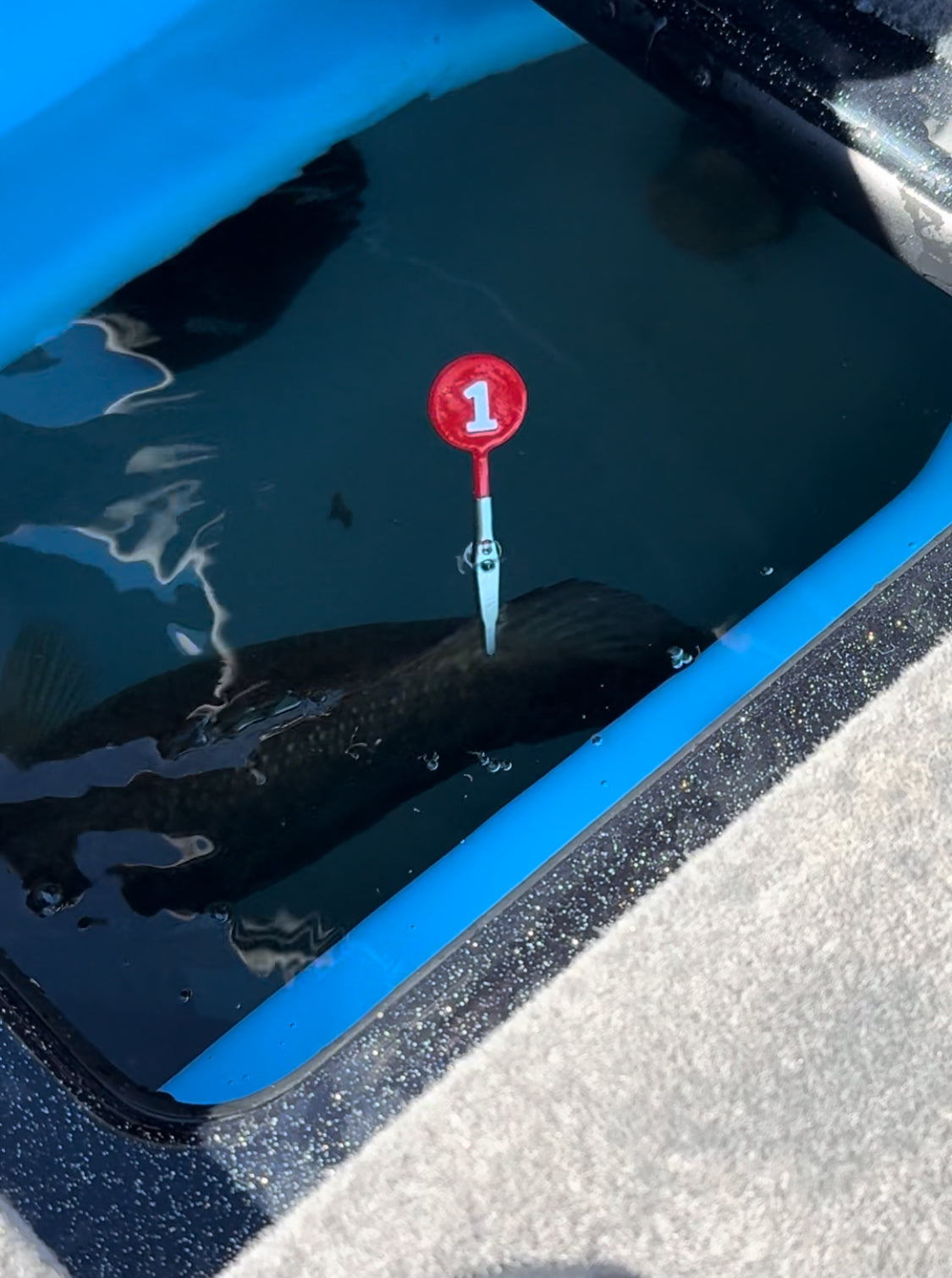DD26 Fishing Cull Tags