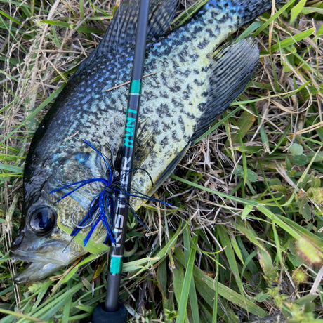 Kistler Rods Hunt BFS Fishing Rods