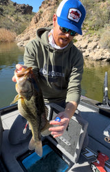 DD26 Fishing Cull Tags